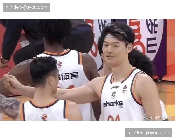 王哲林内线优势考验山东护筐能力，山东外线防守效率面临上海三分考验